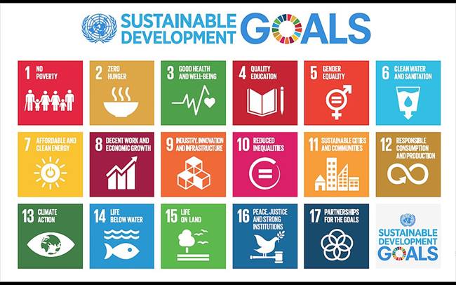 UN SDGs image